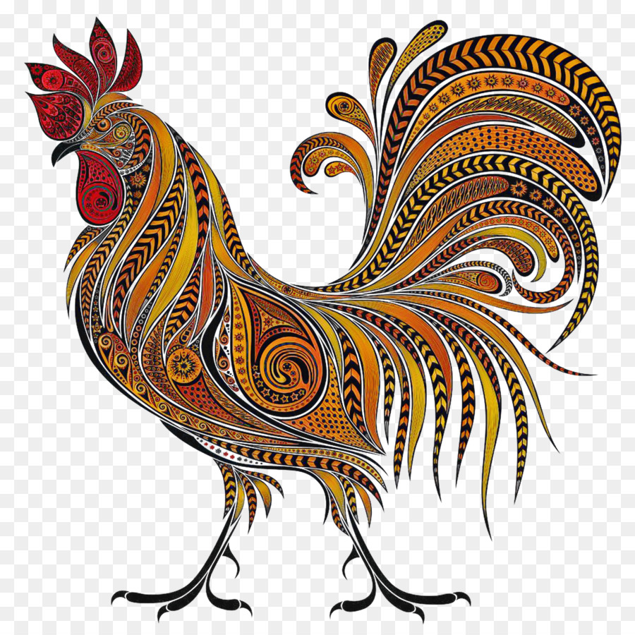 Pollo，Gallo PNG