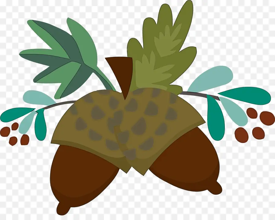 Bellotas Ilustradas，Hojas PNG