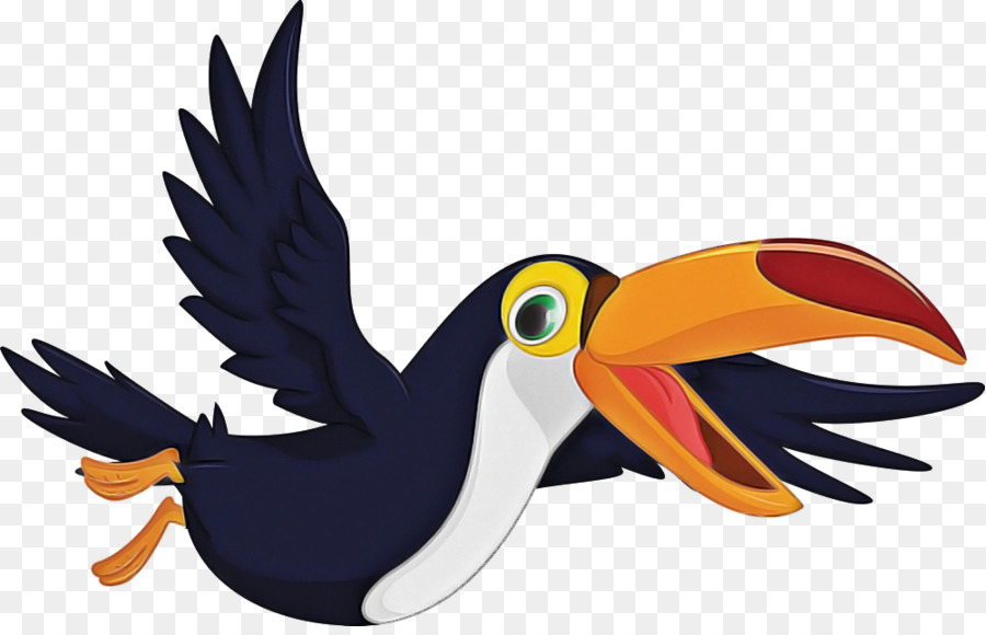 Tucán，Aves PNG