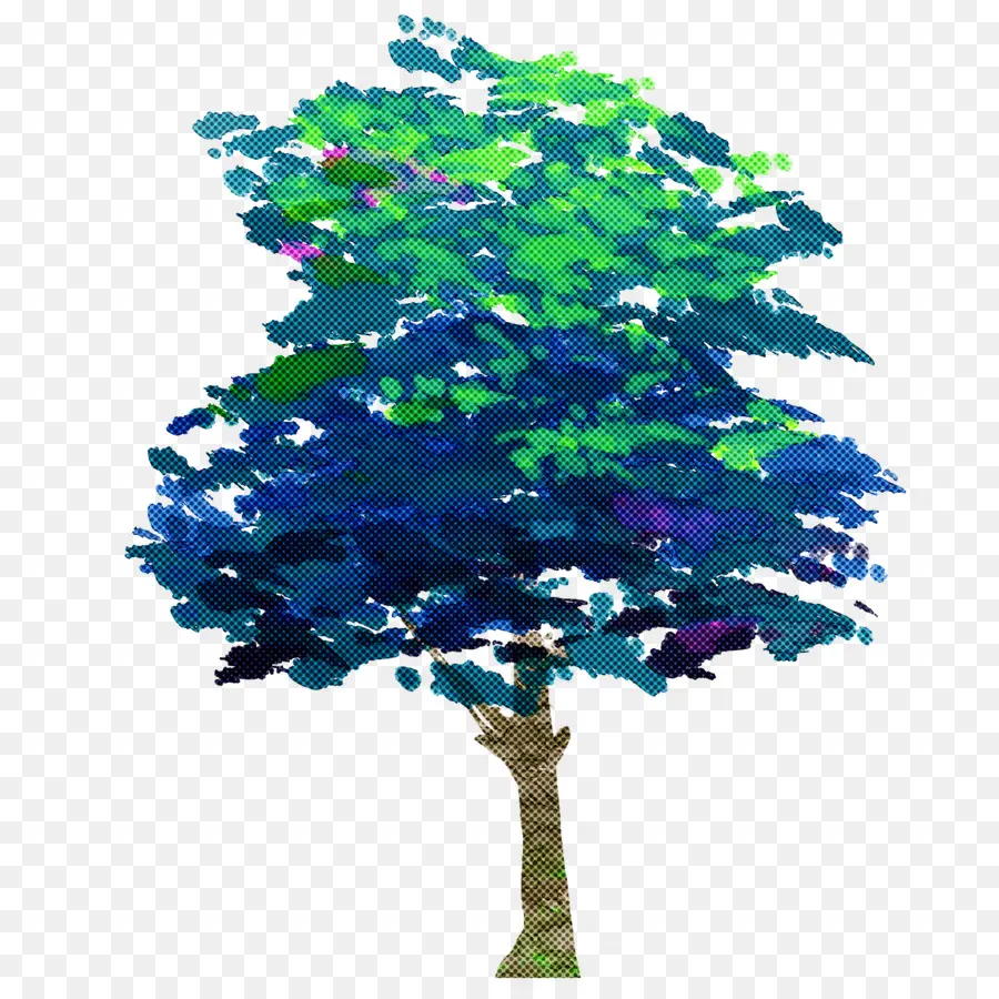 Árbol，Hojas PNG