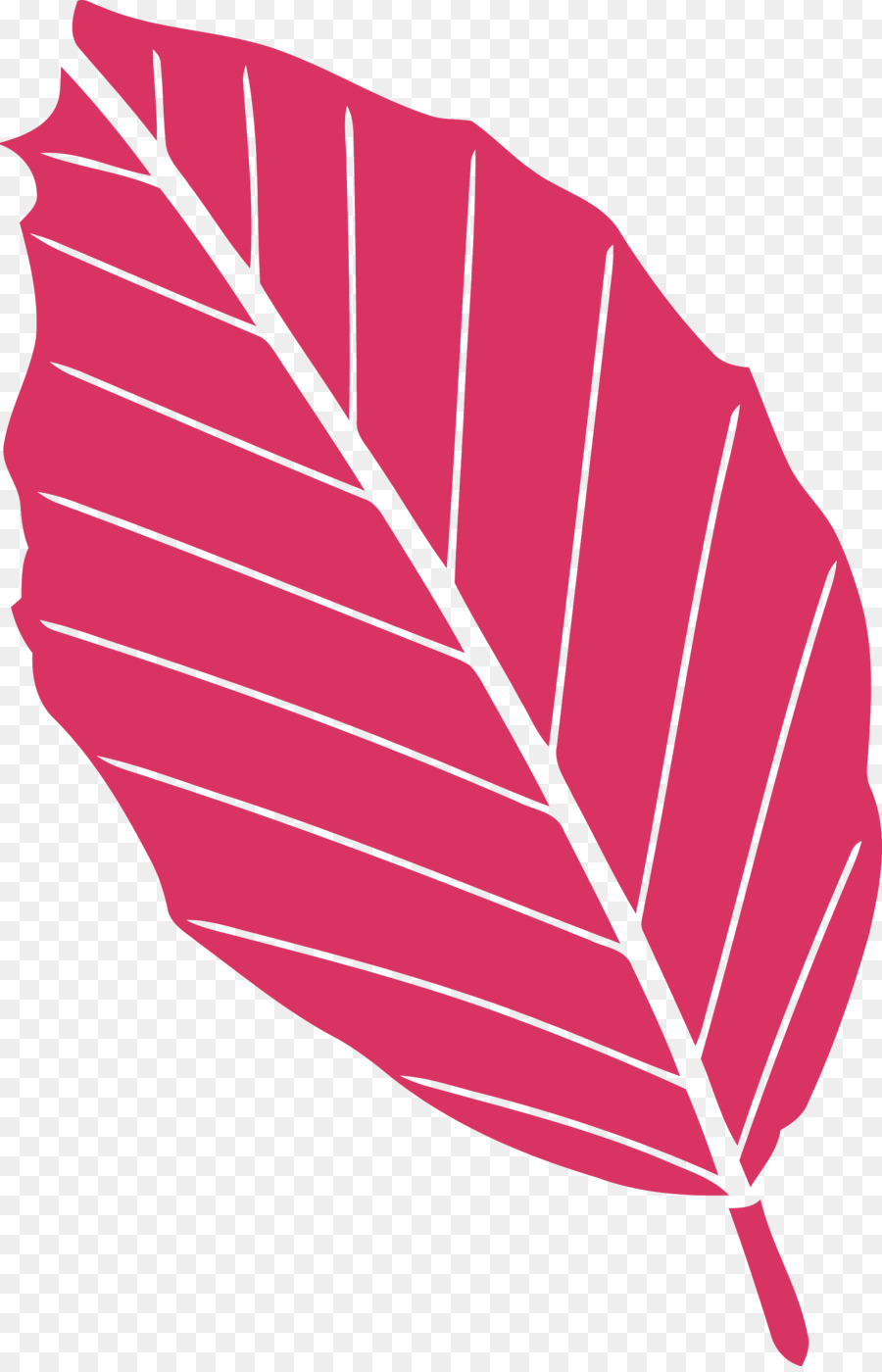 Hoja Roja，Planta PNG