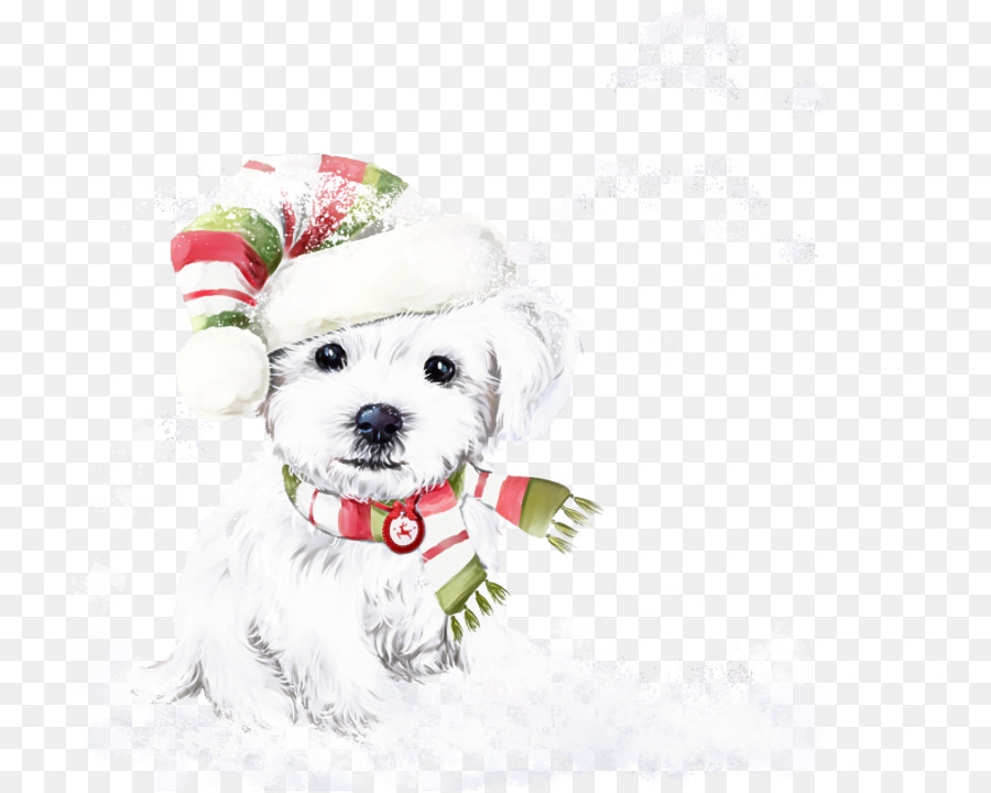 Perro，Blanco PNG