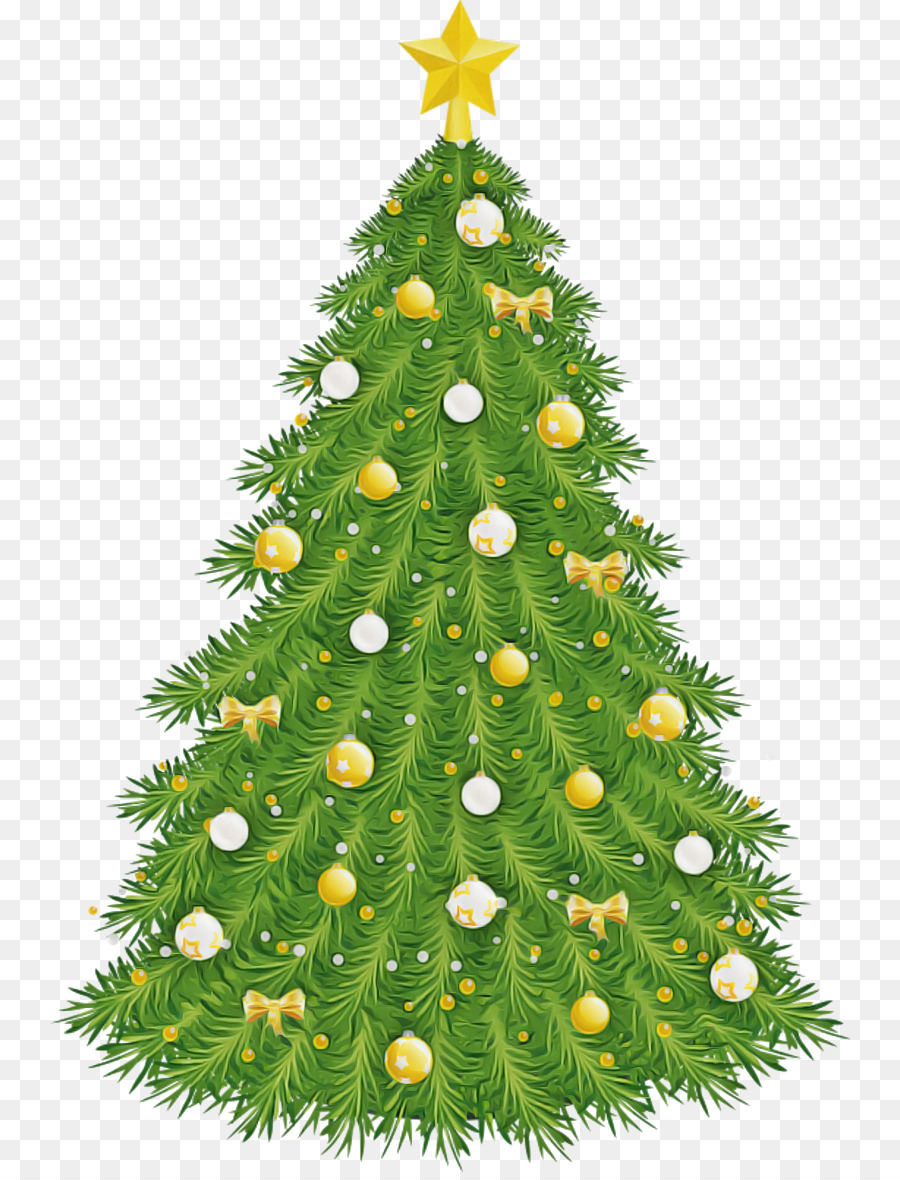 árbol De Navidad，Colorado Abeto PNG