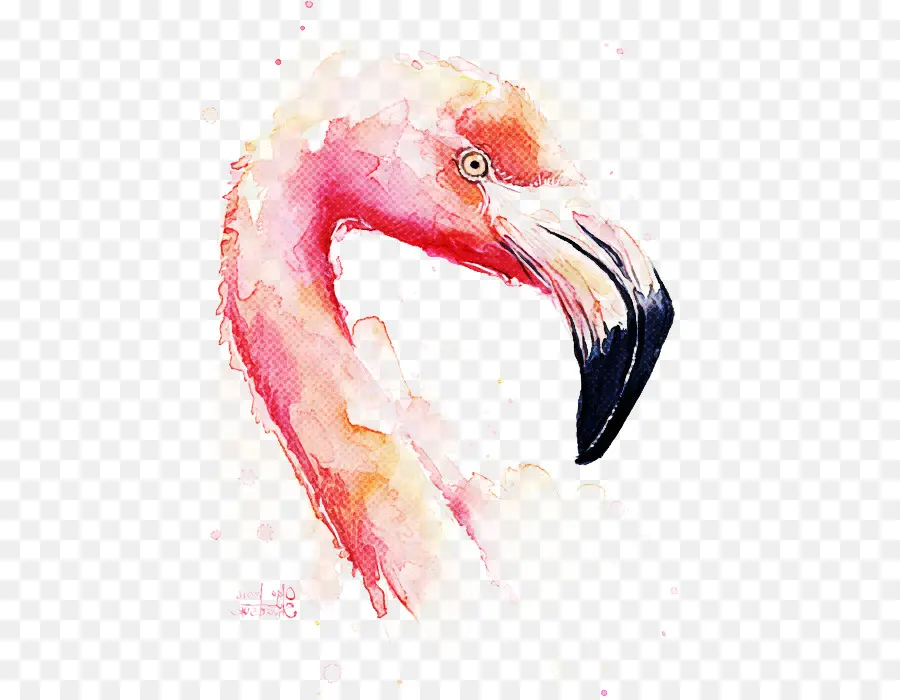Aves，Pintura Acuarela PNG