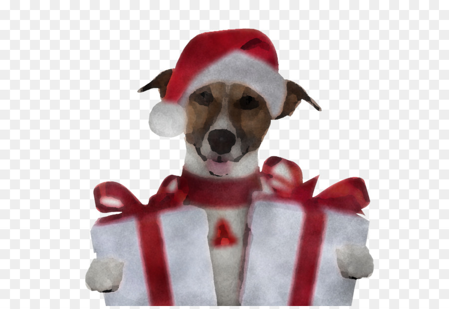 Perro，Jack Russell Terrier PNG