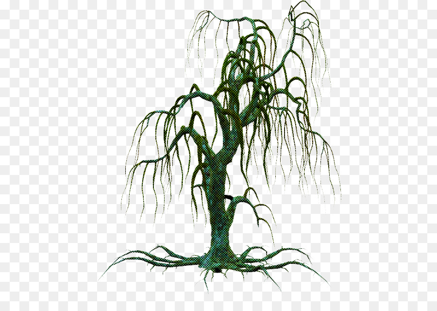 Árbol，Arte De Línea PNG