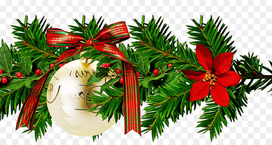 Adorno De Navidad，Planta PNG