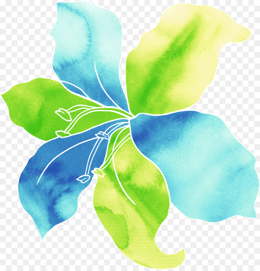 Flor，Acuarela PNG