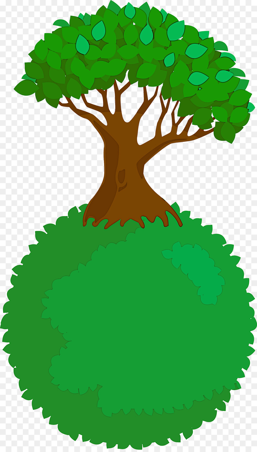 Árbol，Verde PNG