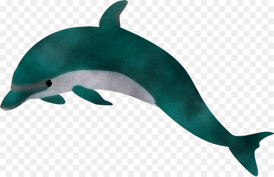 Delfín，El Delfín Nariz De Botella PNG