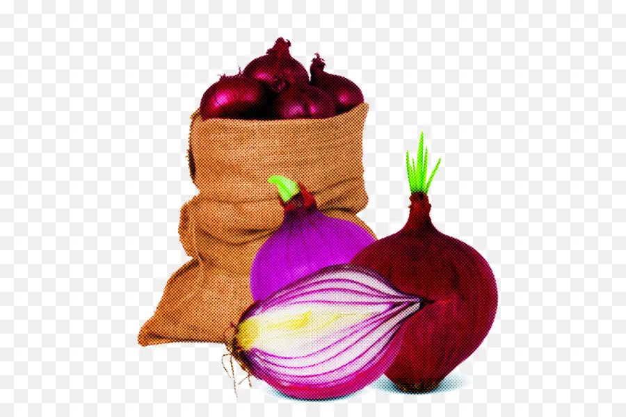 Vegetal，Cebolla PNG