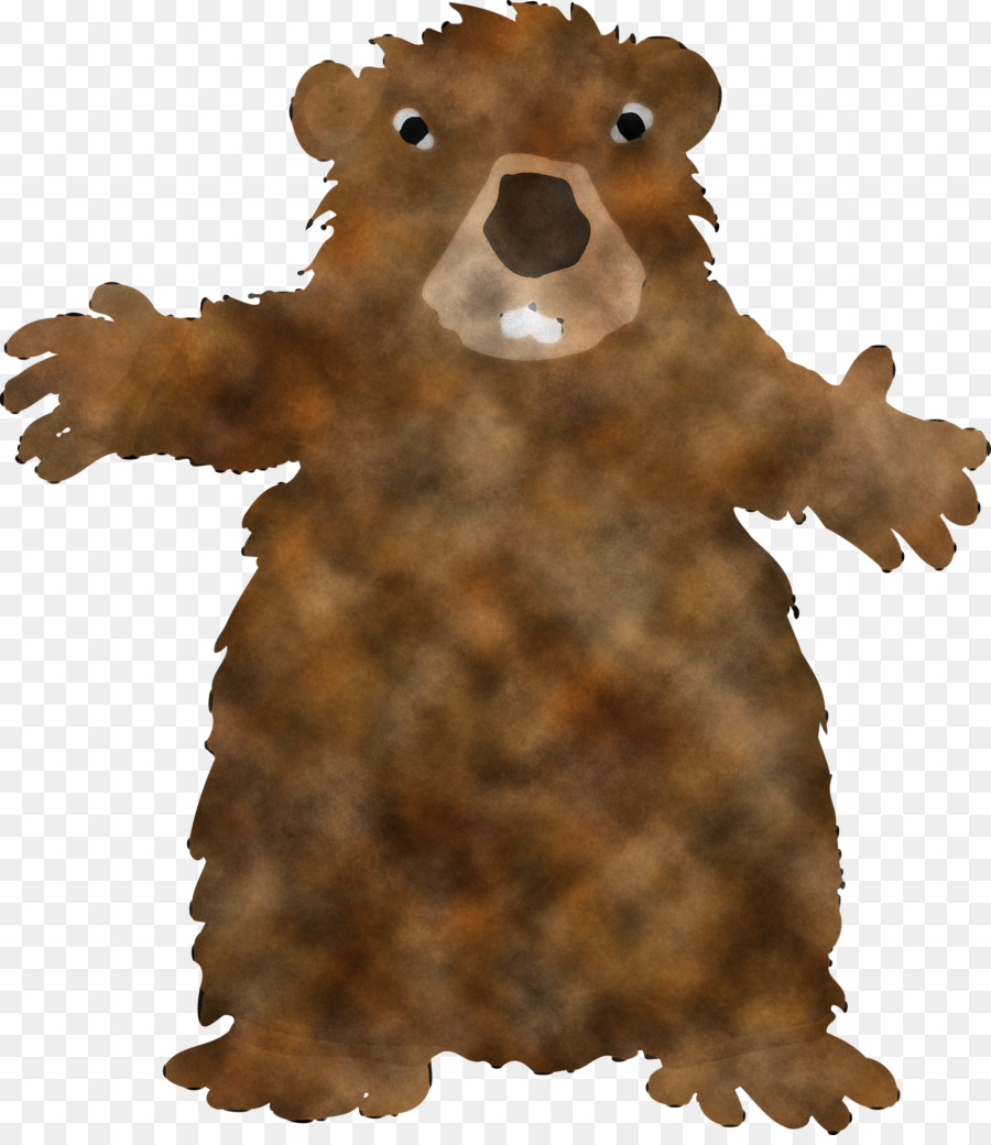 Grizzly Bear，Oso Pardo PNG