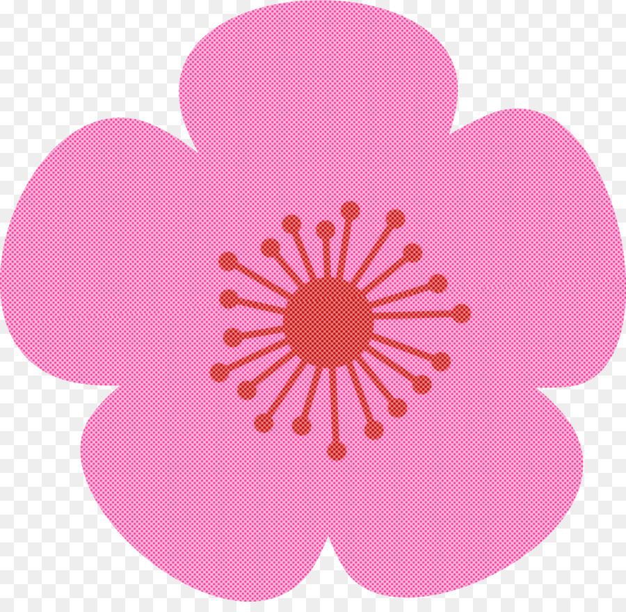 Flor Rosa，Florecer PNG