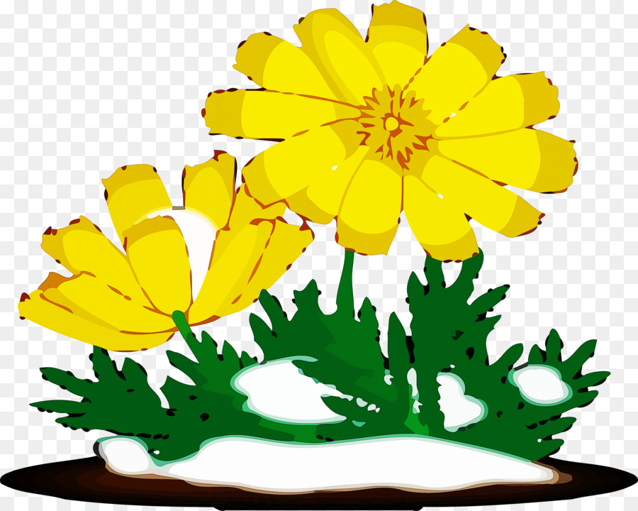 Amarillo，Flor PNG