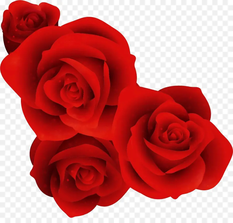 Las Rosas De Jardín，Rojo PNG