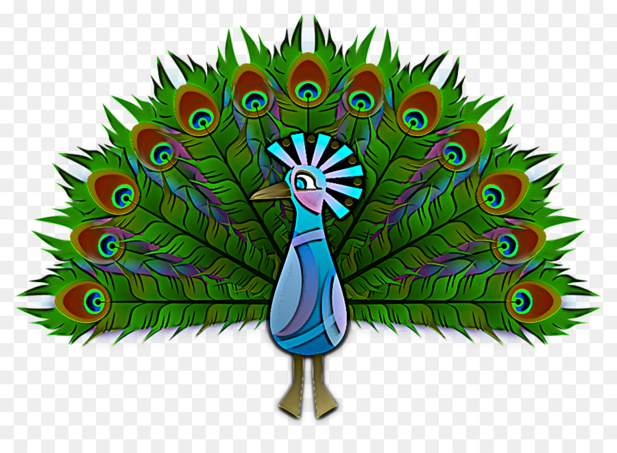 Pavo Real，Pluma PNG