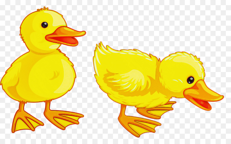 Aves，Pato PNG