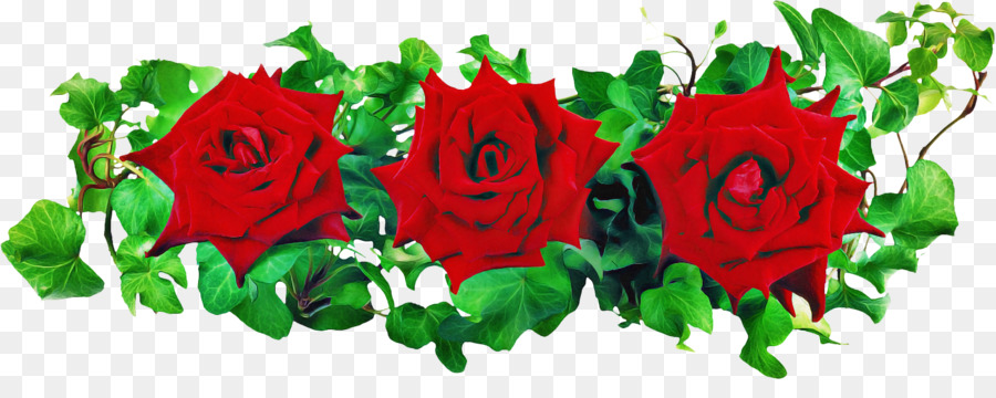 Rojo，Las Rosas De Jardín PNG