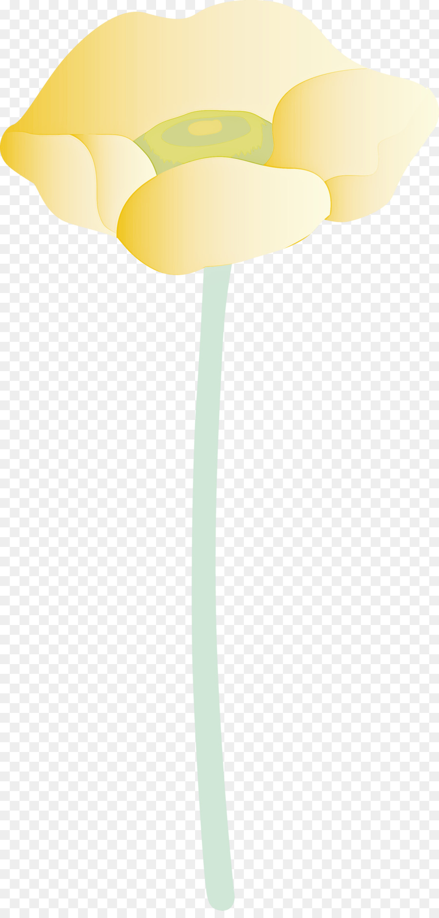 Amarillo，Planta PNG