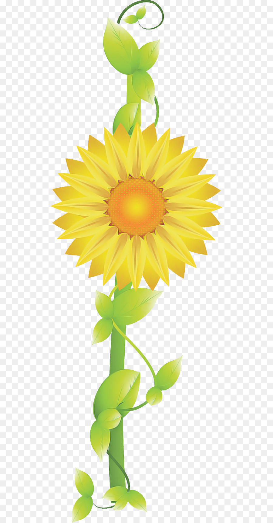 Flor，Girasol PNG