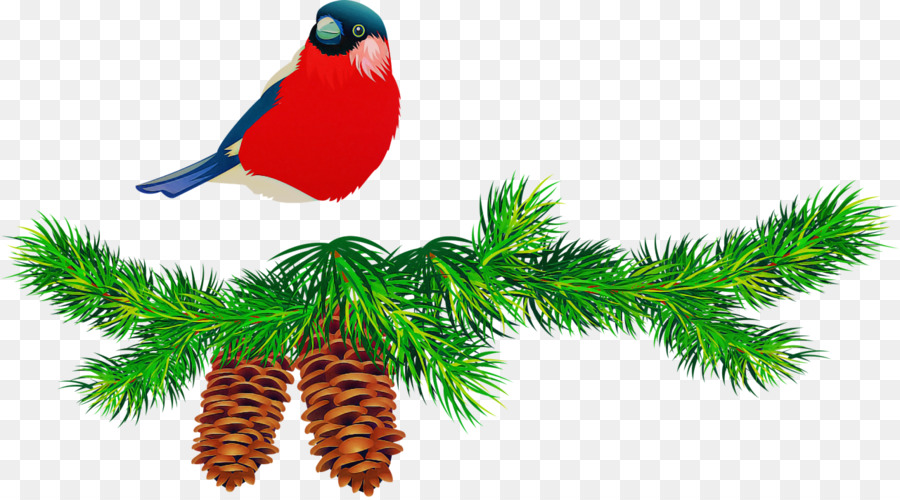 Pájaro De Navidad，Día Festivo PNG