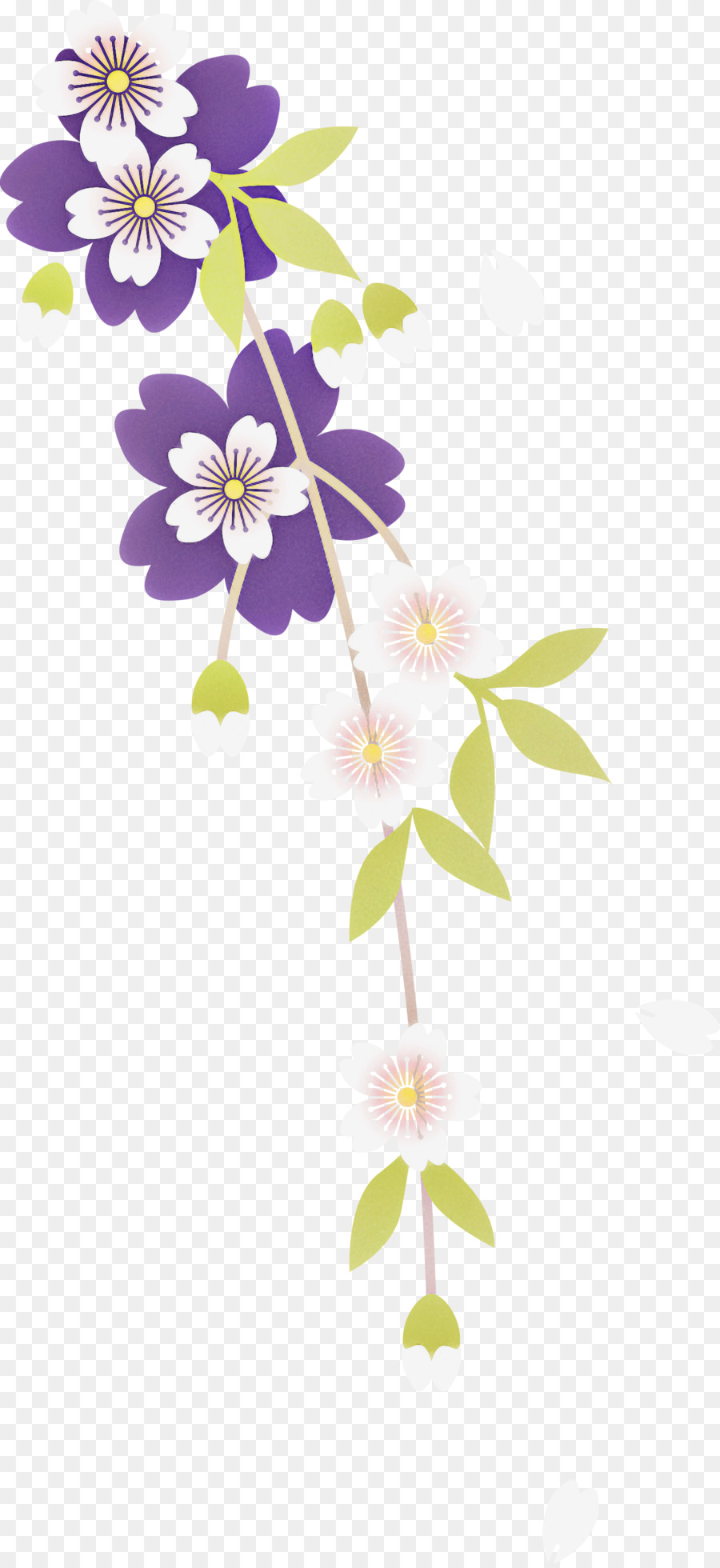 Flor，Pétalo PNG