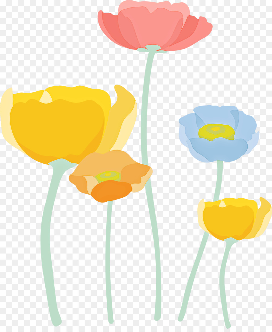 Amarillo，Tulip PNG