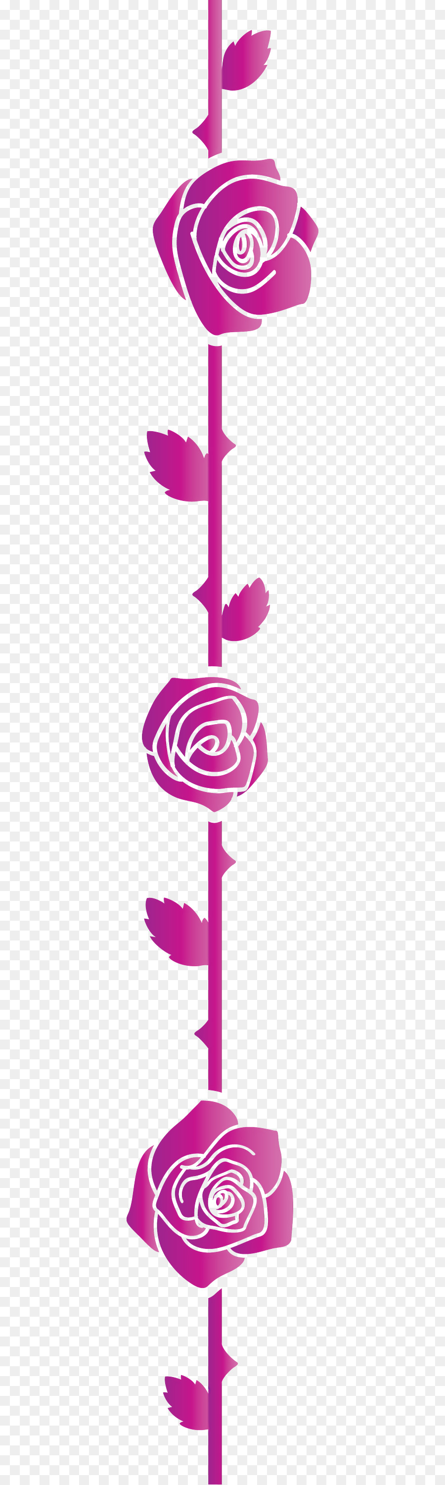 Rosas，Rosa PNG