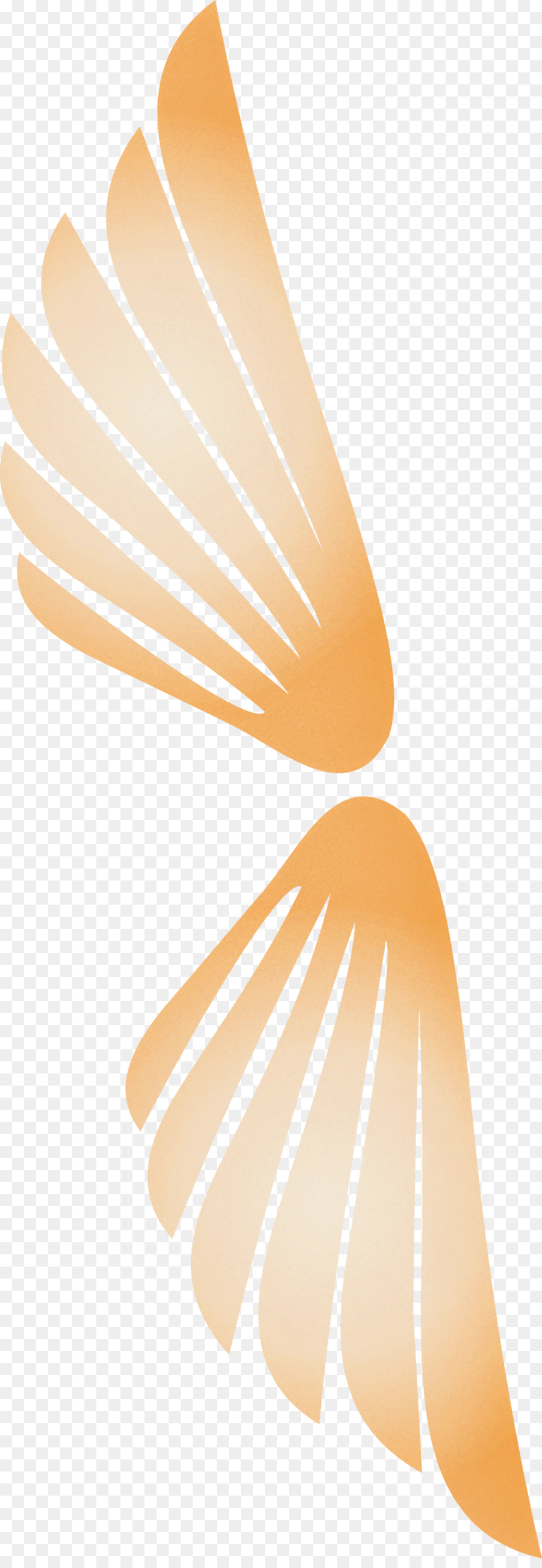 Línea，Naranja PNG