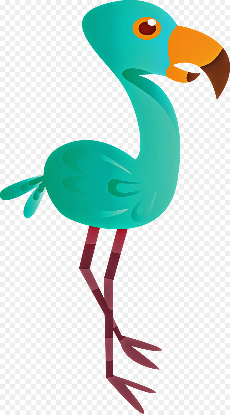 Flamenco，Aves PNG