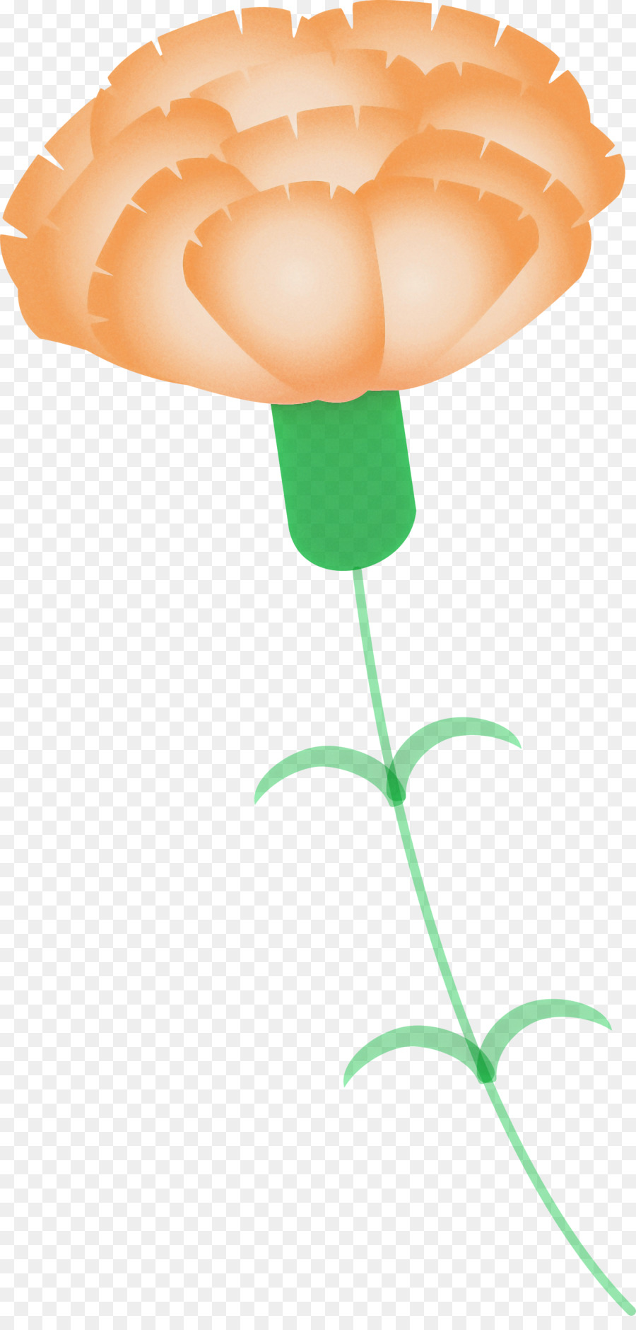 Silueta De Flor Rosa，Florecer PNG