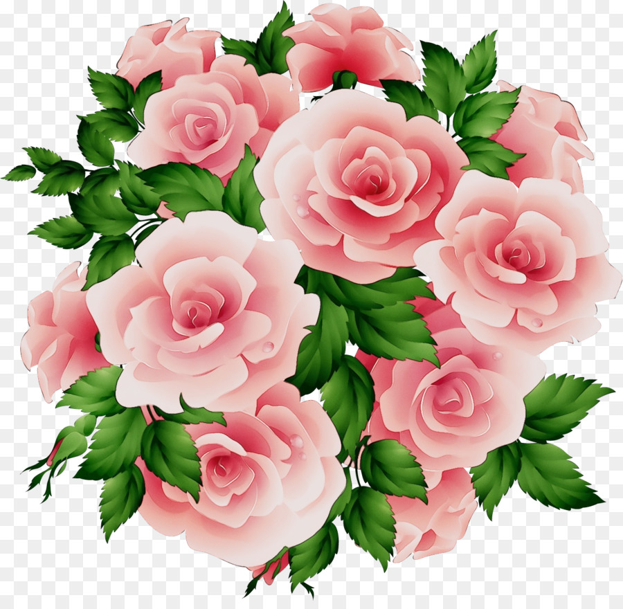 Rosas，Rosa PNG