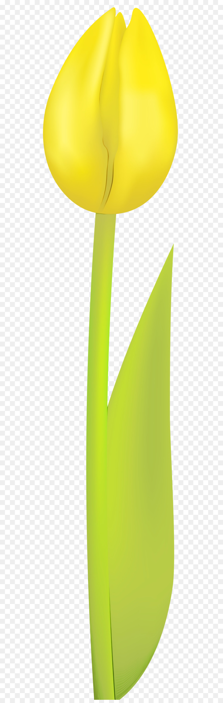 Tulipán，Amarillo PNG