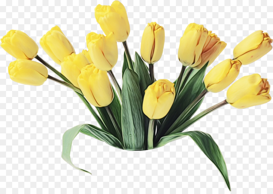 Flor，Amarillo PNG