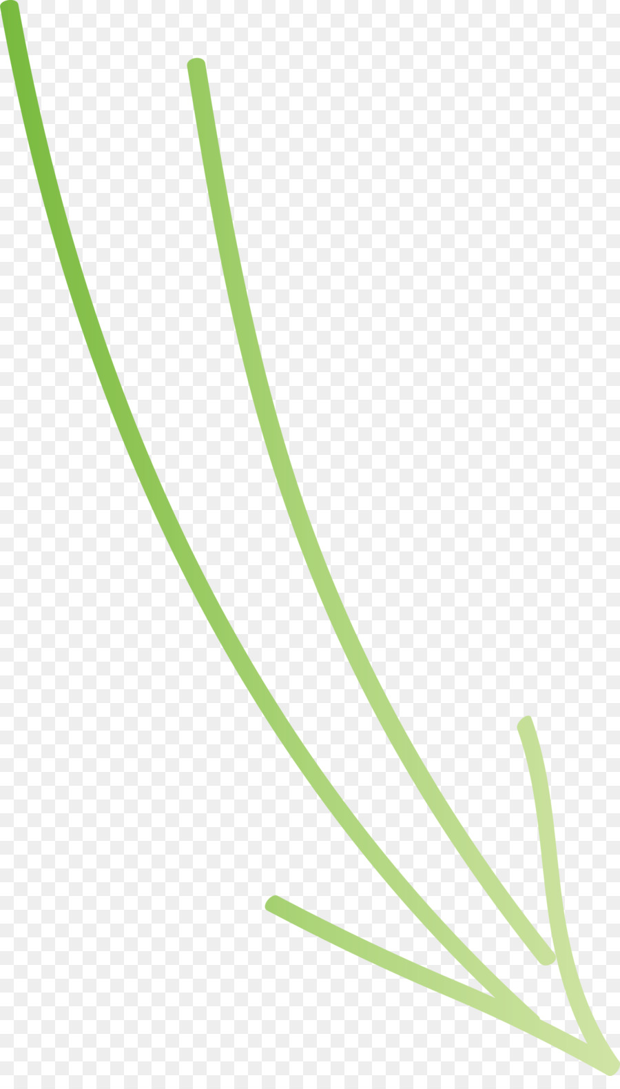 Verde，Línea PNG