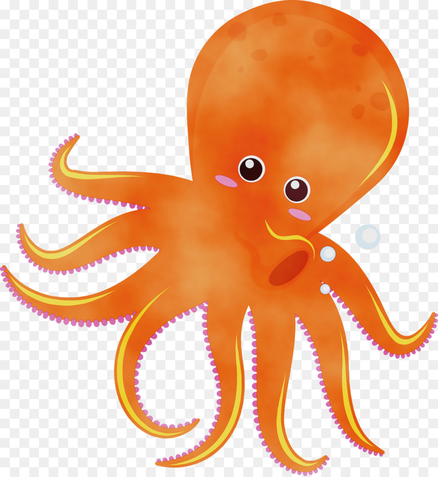 Pulpo，El Pulpo Gigante Del Pacífico PNG