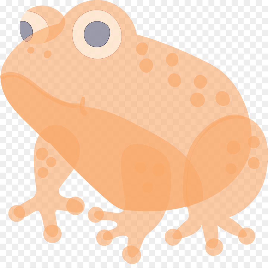 Sapo，Anaxyrus PNG