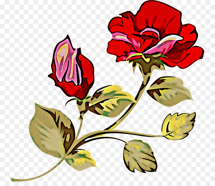 Rosas Rojas Y Blancas，Ramo PNG