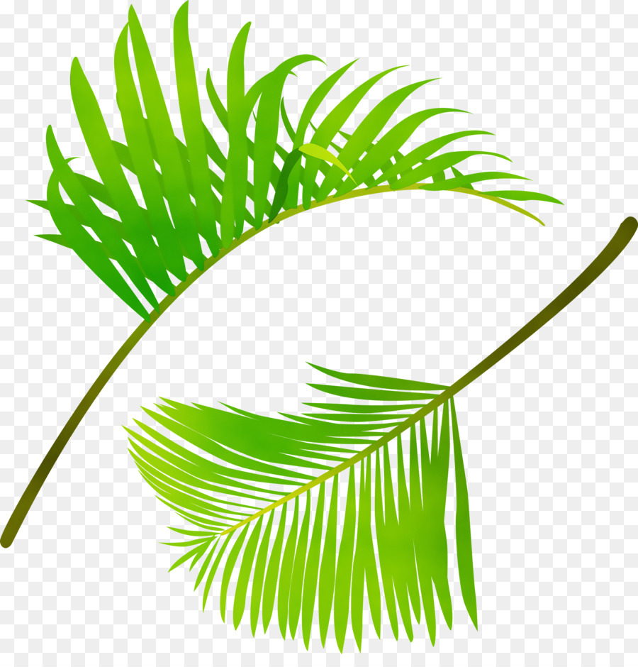 Hoja，Planta PNG