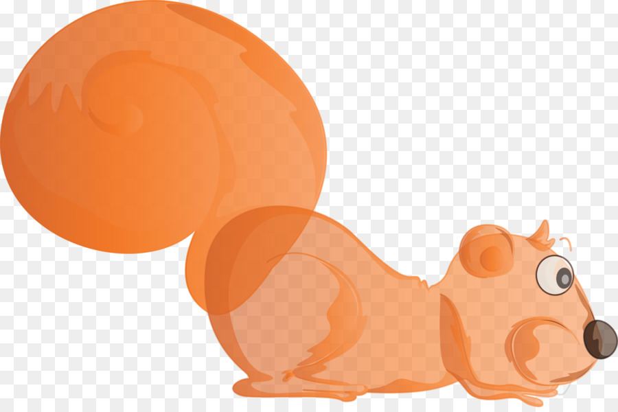 Mapache De Dibujos Animados，Mapache PNG