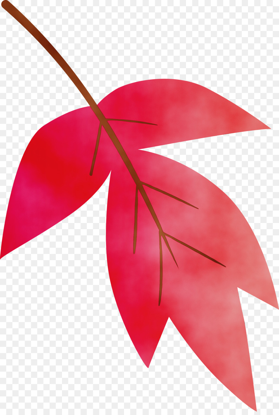 Hoja，Rojo PNG