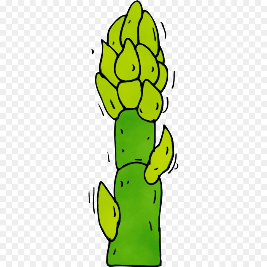 Cactus，Verde PNG