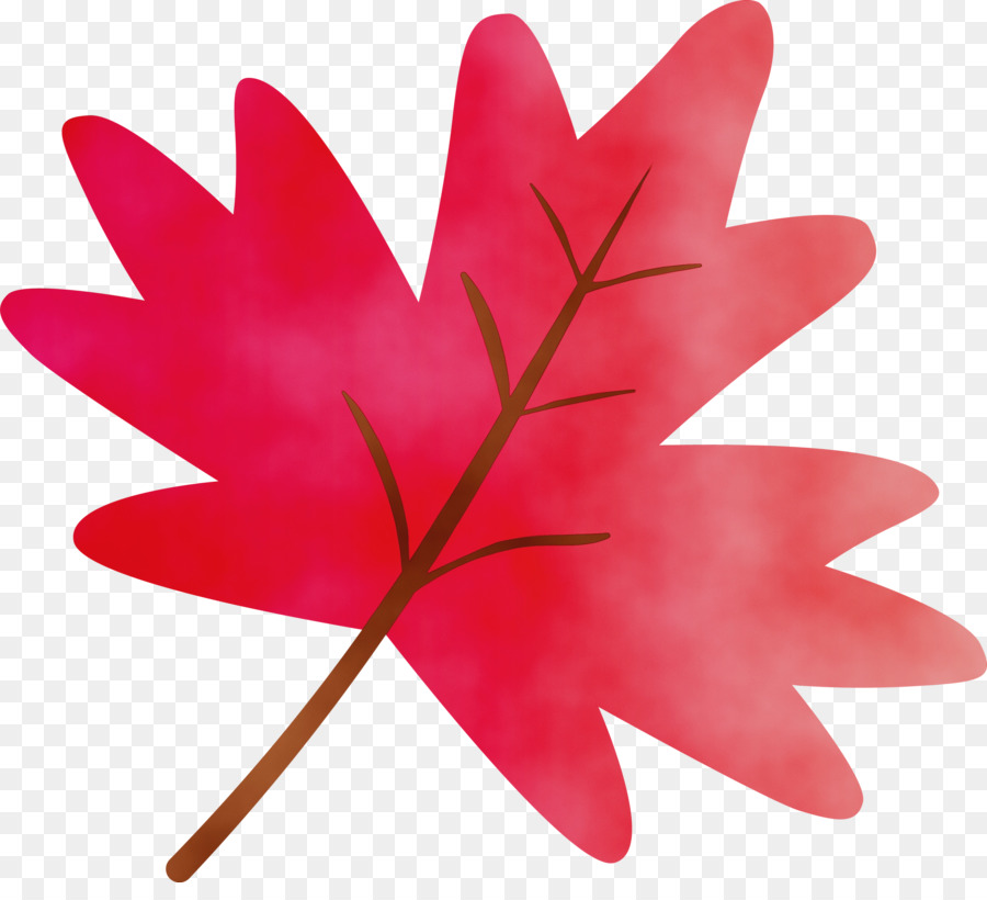 Hoja，Rojo PNG