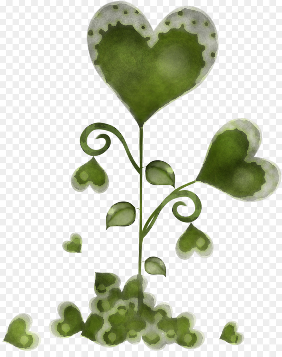 Planta Verde，Hojas PNG