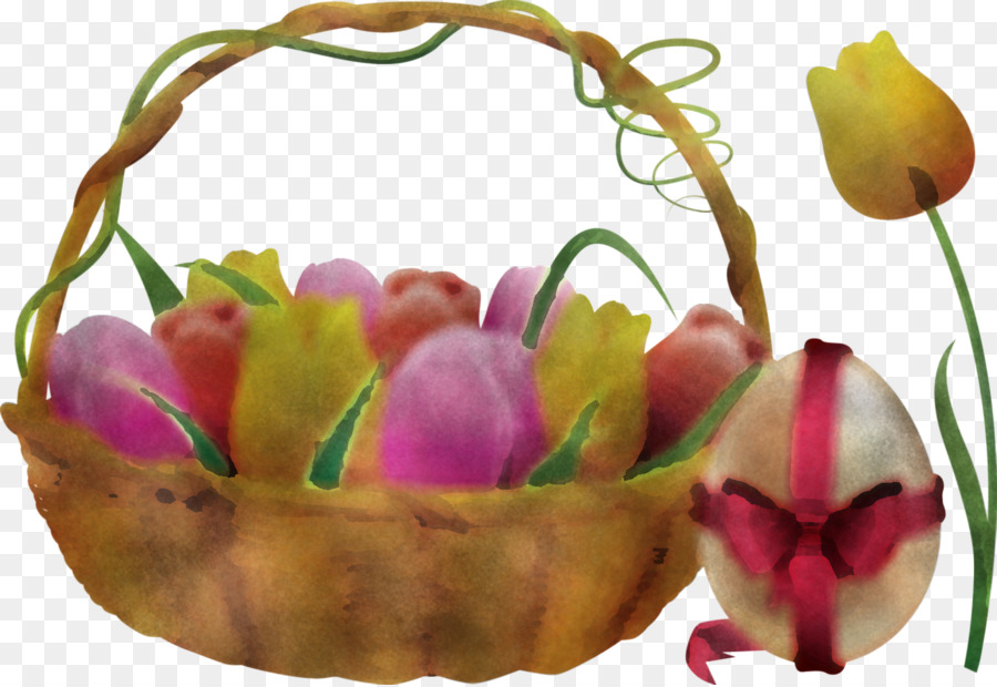 Tulip，Pascua PNG