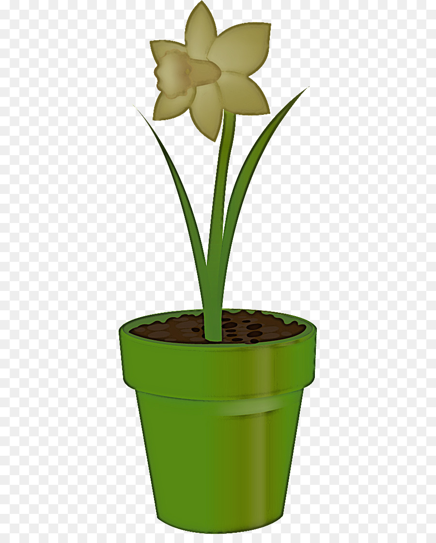 Maceta，Flor PNG