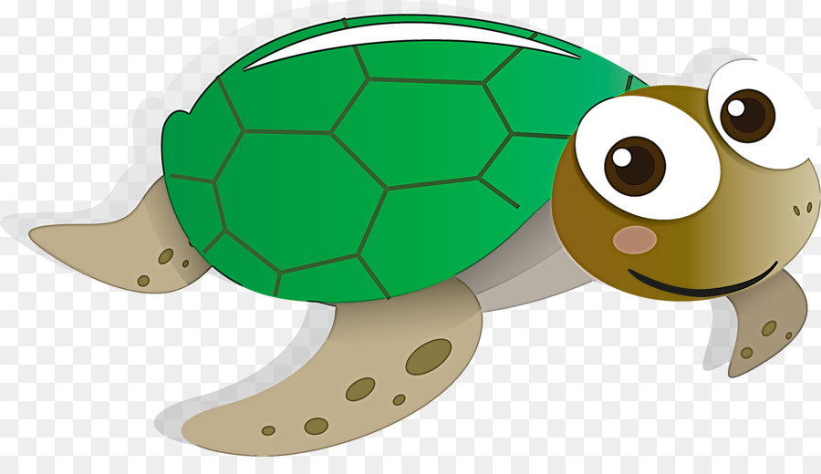 Tortuga De Mar，Tortuga PNG