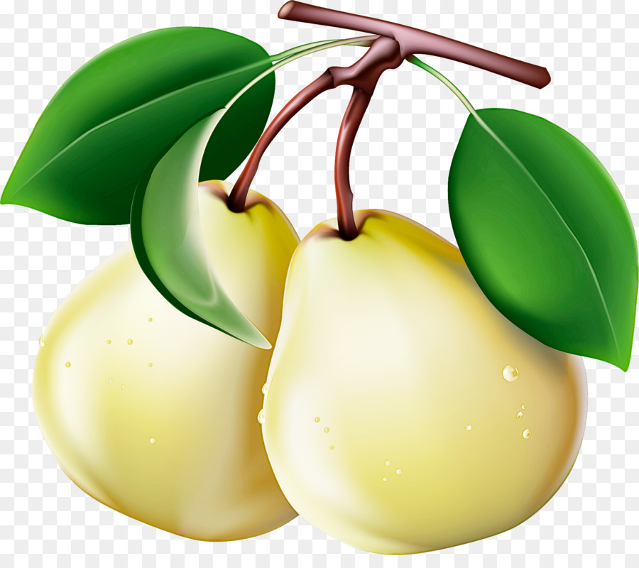 árbol De La Fruta，Árbol PNG