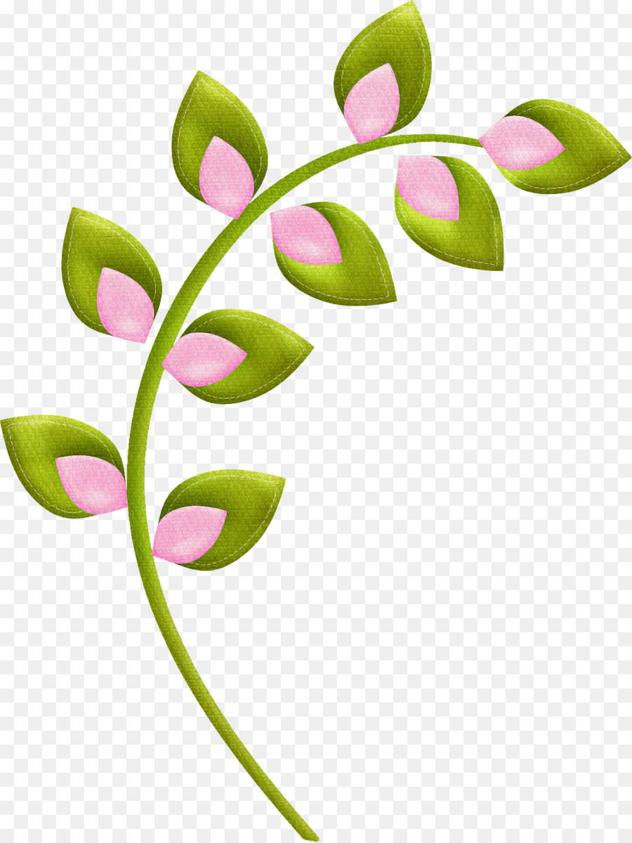 Flor Rosa，Planta PNG