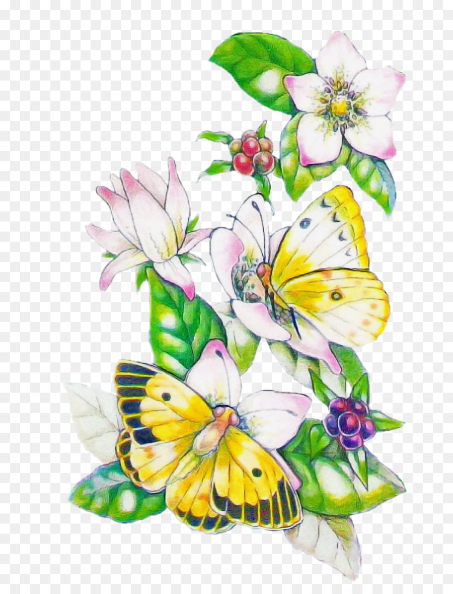 Mariposas Y Flores，Naturaleza PNG